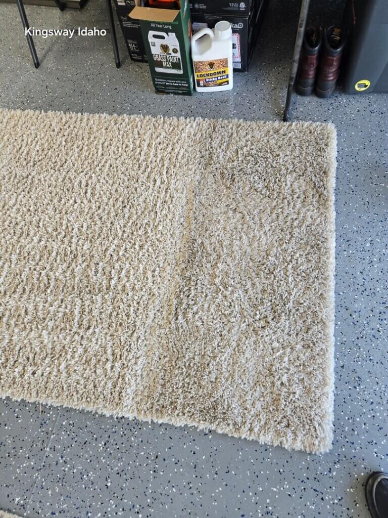 Area Rug Cleaning Service Near Nampa and Boise, ID – Call Now for a No-Cost Estimate!